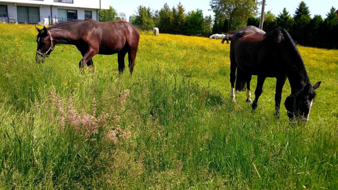 Kwatery Prywatne Lotnicza Bielsko-Biała Esterno foto