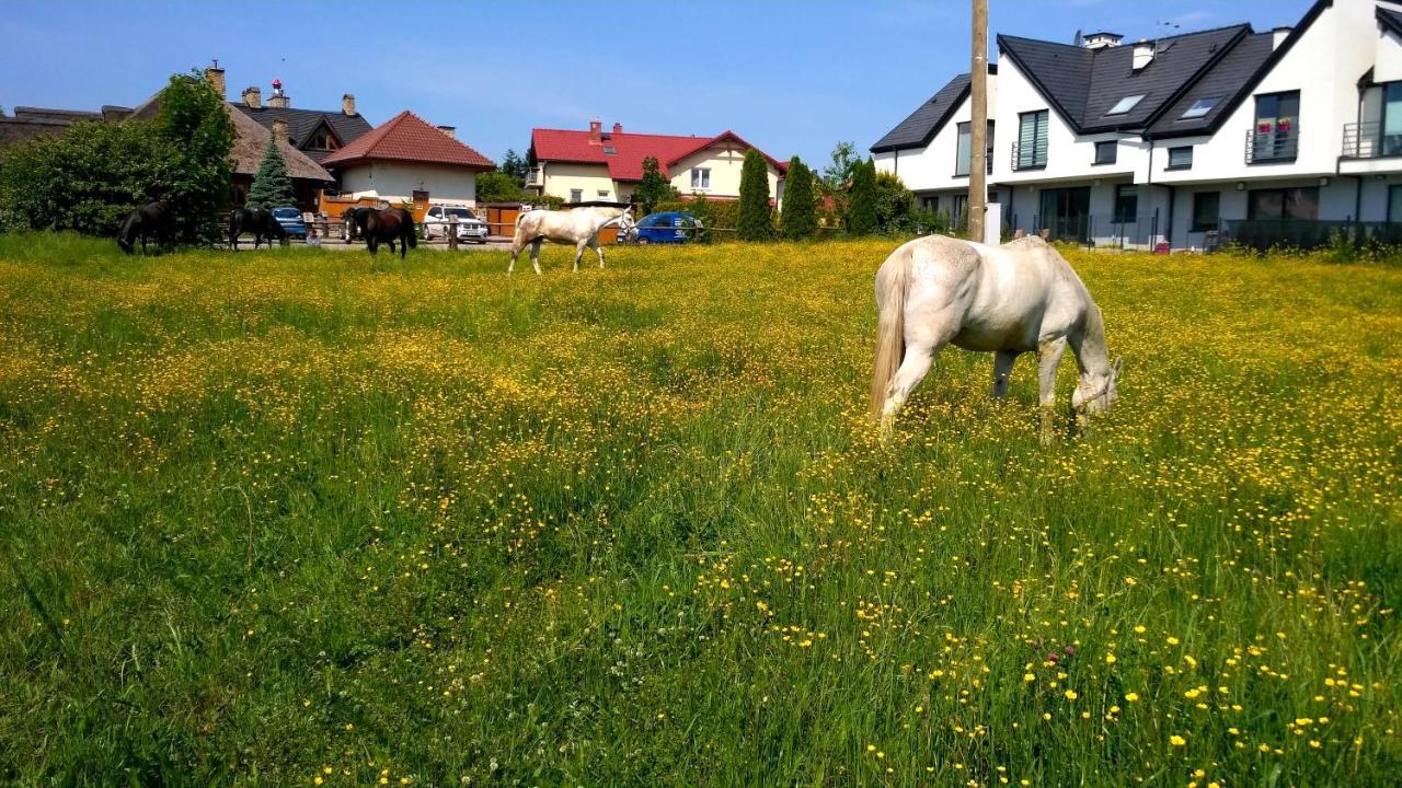 Kwatery Prywatne Lotnicza Bielsko-Biała Esterno foto